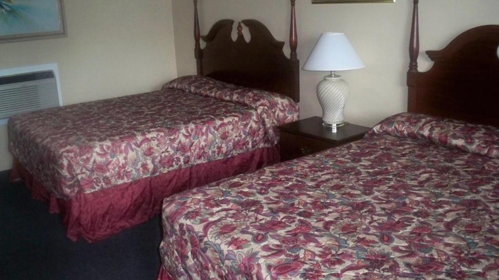 Catalina Airport Motel エイボン 部屋 写真