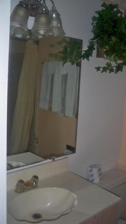 Catalina Airport Motel エイボン 部屋 写真