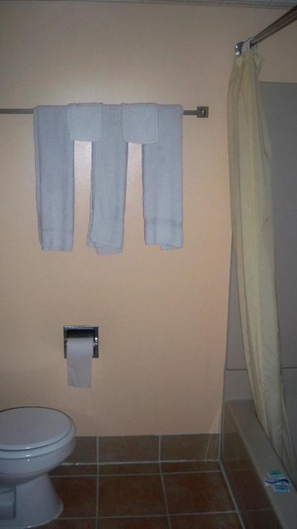 Catalina Airport Motel エイボン 部屋 写真