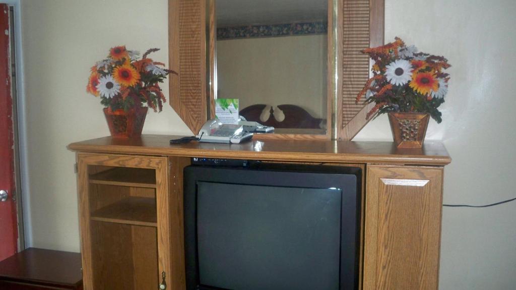 Catalina Airport Motel エイボン 部屋 写真